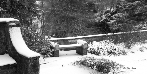 Bois des Moutiers Winterreise (43)